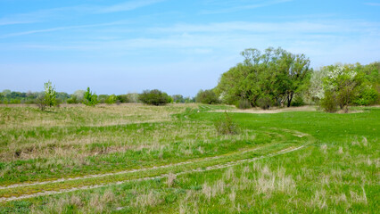A scenic spring meadow with a winding dirt road, lush green grass, and blossoming trees under a bright blue sky.