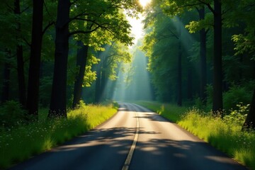 Fototapeta premium Serene Pathway Through Sun-Dappled Forest, Lush Greenery Lines a Winding Road Bathed in Golden Light