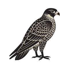 falcon silhouette vector design for wildlife and bird logo