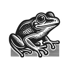 Obraz premium Frog engrave logo icon design illustration