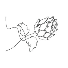 Single Line Rose Flower Drawing, Minimalist Botanical Art