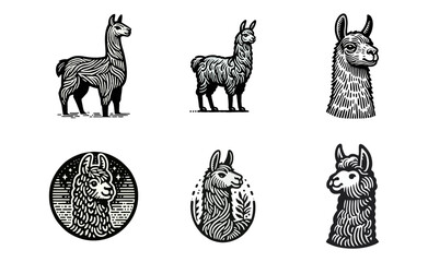 Llama alpaca engrave logo icon design illustration