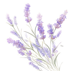 Naklejka premium Creative 2D Doodle Floral Illustrations on White Background