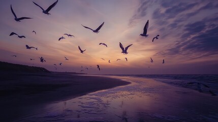 A time-lapse shot of seagulls flying across a twilight sky, their motion leaving soft trails in the dusky atmosphere