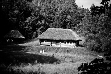 Obraz premium old house in the woods