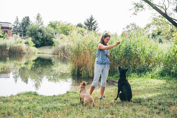 Dog training by the water, woman engaging with two dogs