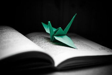open book on black background