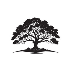 Obraz premium oak tree vector silhouette line art logo illustration