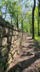 Stone wall with forest path in sunlight