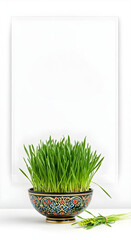 Minimalist Navruz Celebration with Wheatgrass and Elegant Islamic Design