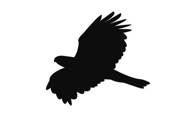 Flying African hawk eagle bird Silhouette Design  And Vector Illustration. 