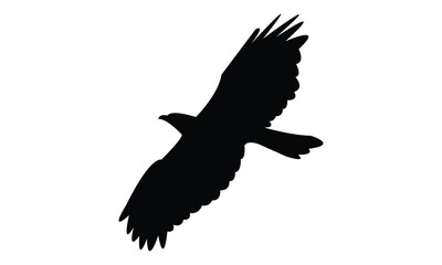 Flying African hawk eagle bird Silhouette Design  And Vector Illustration. 