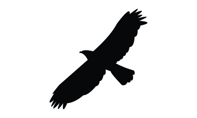 Flying African hawk eagle bird Silhouette Design  And Vector Illustration. 