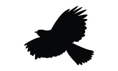 Flying African hawk eagle bird Silhouette Design  And Vector Illustration. 