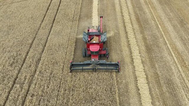 Farmer harvesting wheat from up above
