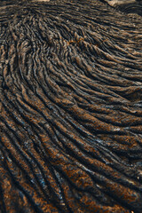 Volcanic lava in the Galapagos Islands in Ecuador