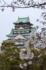 Osaka Castle Palace Wet grey weather