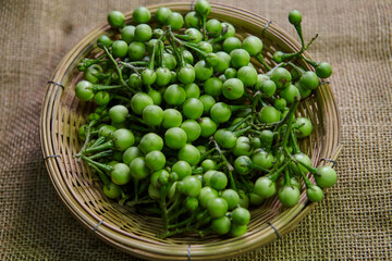 Fresh pea eggplant in bamboo basket