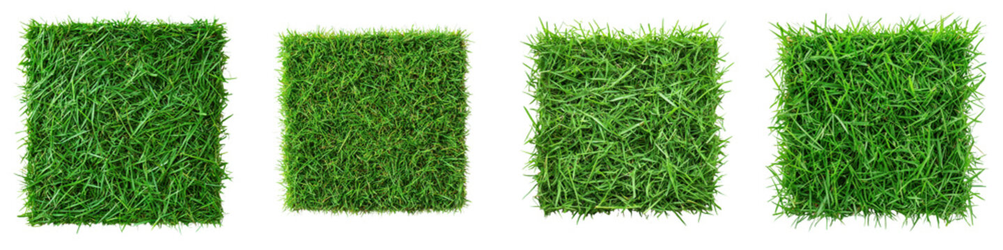 A collection of four square images showcasing the vibrant and textured patterns of thick healthy grass in a natural outdoor setting