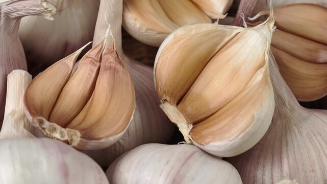 Close-up of dried garlic
