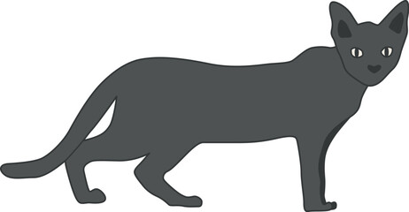 Black cat vector illustration on transparent background. Flat hand drawn illustration of kitten