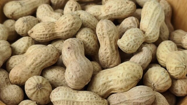 Close-up of dried peanuts