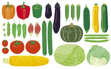 夏野菜イラスト