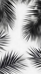 Obraz premium 13. Coconut leaf shadows with a realistic touch on a transparent background, ideal for nature-themed designs