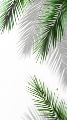 15. Realistic shadow of coconut palm branches on a transparent background, ideal for nature-inspired projects