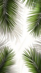 Obraz premium 28. Silhouetted tropical palm leaves with realistic shadows on a transparent background for elegant summer designs