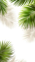 Fototapeta premium 30. Coconut palm branches casting shadows over a transparent background for a relaxed, tropical atmosphere