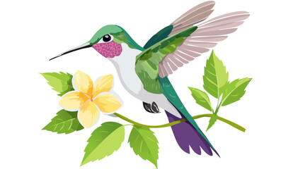 Obraz premium hummingbird and flower