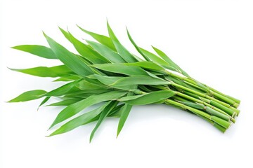 Fototapeta premium A bundle of fresh green bamboo stalks and leaves isolated on a bright white background surface view
