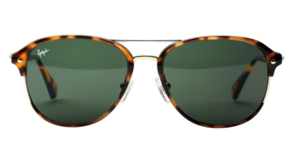 Stylish sunglasses with classic design and modern flair for sunny days ahead