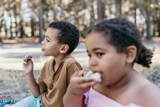 Mixed race brother and sister eating large choc chip cookie in a