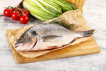 Raw dorada fish served rosemary