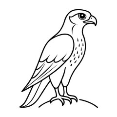 Fototapeta premium Simple line drawing of a falcon on a transparent background 
