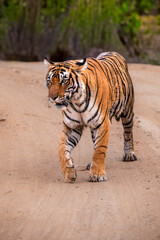 walking on road