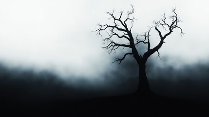 Spooky Silhouette: A Barren Tree in a Foggy Landscape