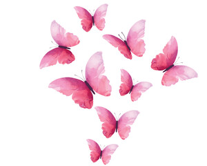 Fototapeta premium pink P.eps