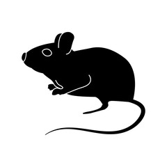 animal, cartoon, isolated, illustration, mouse, white, rat, vector,