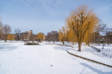 Public garden lake and park in Boston, MA covered with winter snow