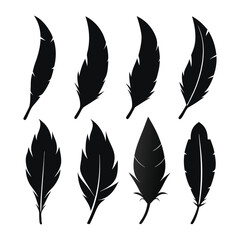 Feather icons of silhouette black shape vector illustration isolated on white background