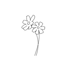 cosmos flower line art on isolated white. vector illustration
