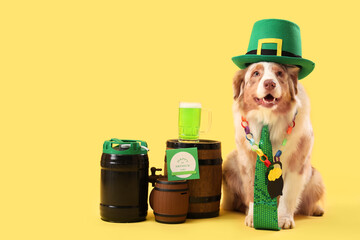 Cute Australian Shepherd dog in leprechaun's hat with barrels on yellow background. St. Patrick's...