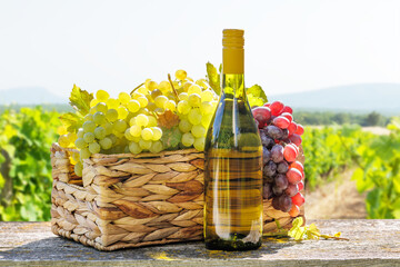 Fototapeta premium A basket filled with various types of grapes and bottle of white wine