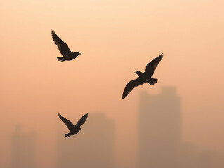 Fototapeta premium Birds flying through smog choked skyline at sunset