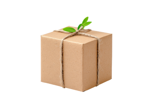 Brown cardboard box tied with twine and decorated with green leaves on a transparent background. Concept of eco friendly packaging and sustainable delivery.