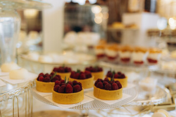 Delicious Raspberry Tarts Displayed on Plates in a Fancy Dessert Buffet