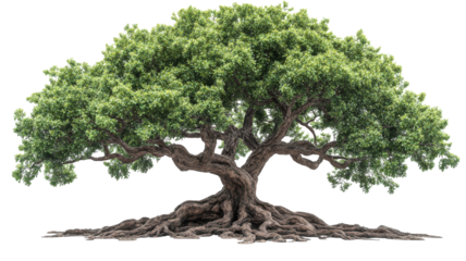 Majestic tree with sprawling branches and deep roots embodies nature's resilience and beauty